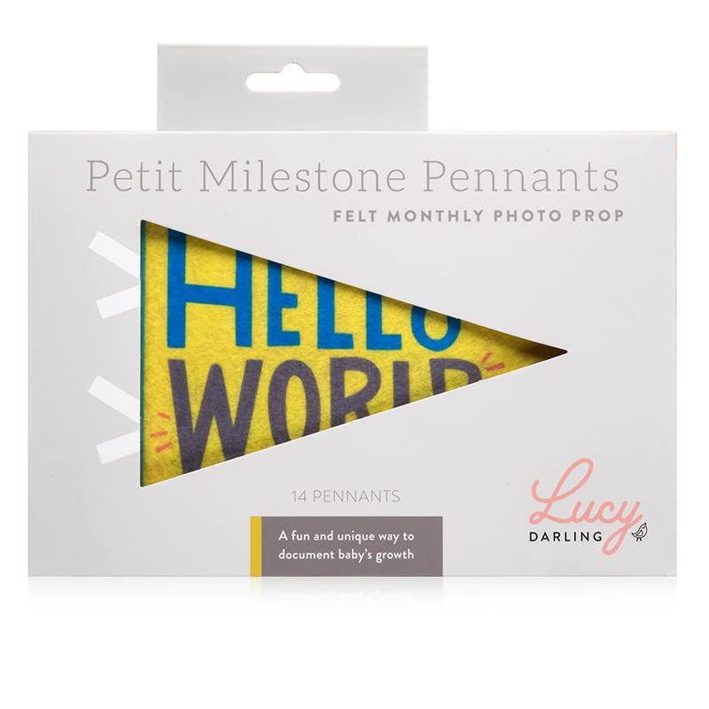 Lucy Darling Petit Milestone Pennant Set - Image 2